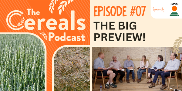 Ep 7 podcast
