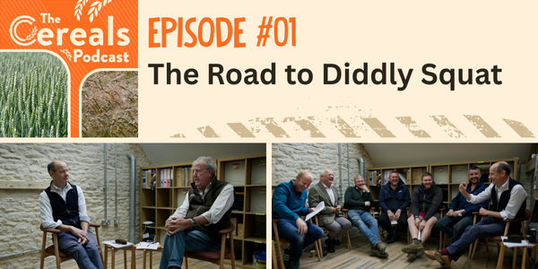 Podcast Email Banner