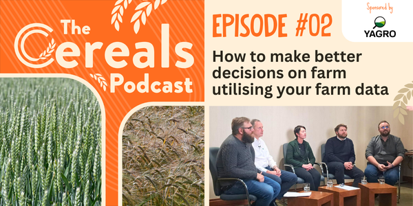 Podcast Email Banner