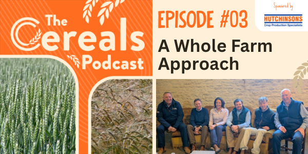 Podcast Email Banner ep 3