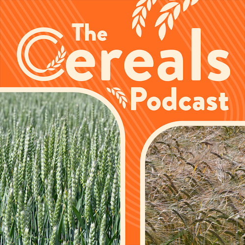 The Cereals Podcast Show Cover Apple 3000x3000 1