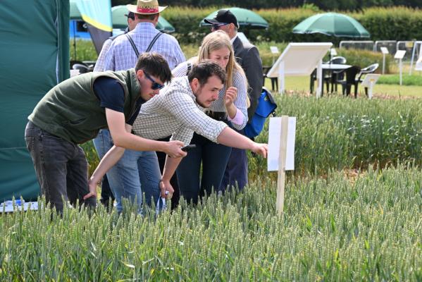 Clarkson previews crop plots ahead of Cereals event