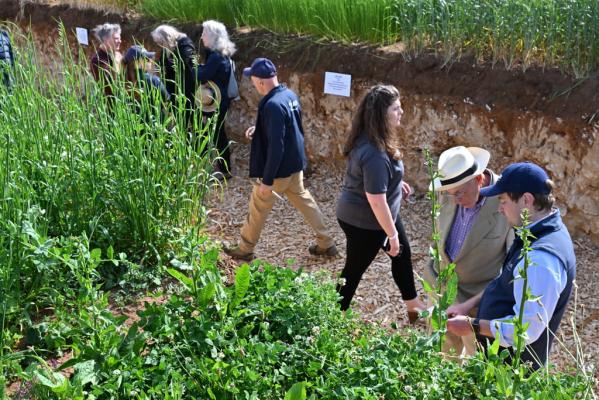 Niab digs deep at Cereals 2026 to decode Clarkson’s Cotswold Brash