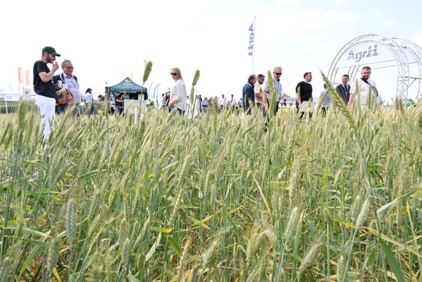 Ceres Rural Diddly Squat Farm Trials