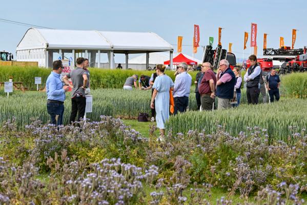 Agronomy Zone